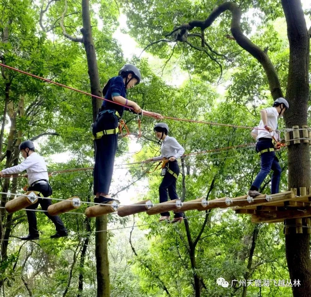 廣州飛越叢林探險樂園