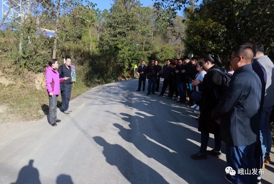 鲁春红调研云茶山庄生态茶园道路改扩建项目建设