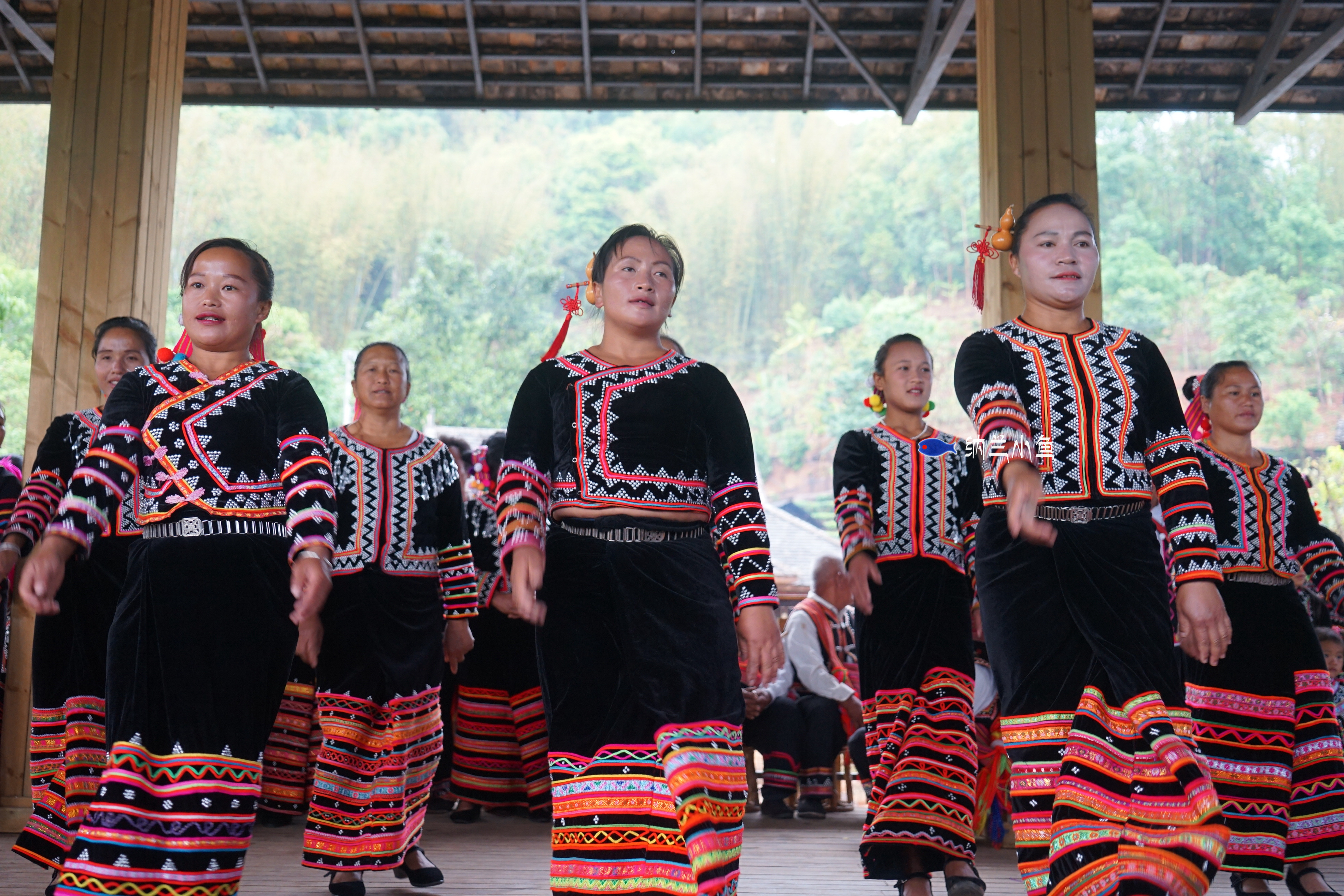 云南普洱有个神秘的原始村落村民们会说话就会唱歌会走路就会跳舞