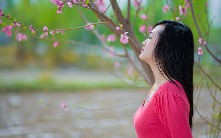 各种桃花图片美少女图片