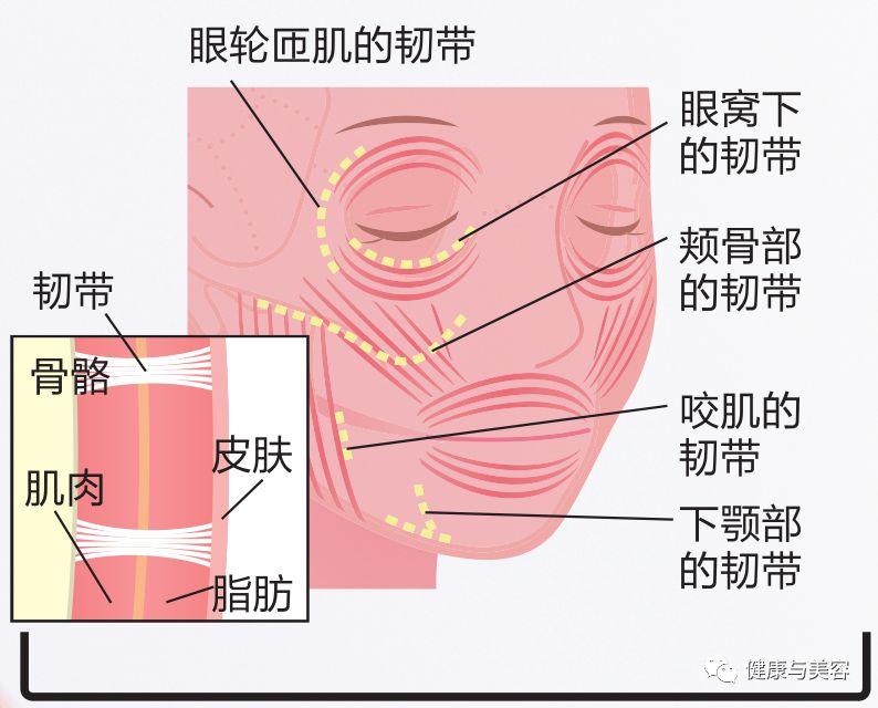 谢娜示范瘦脸操,5秒钟按压操消除法令纹!