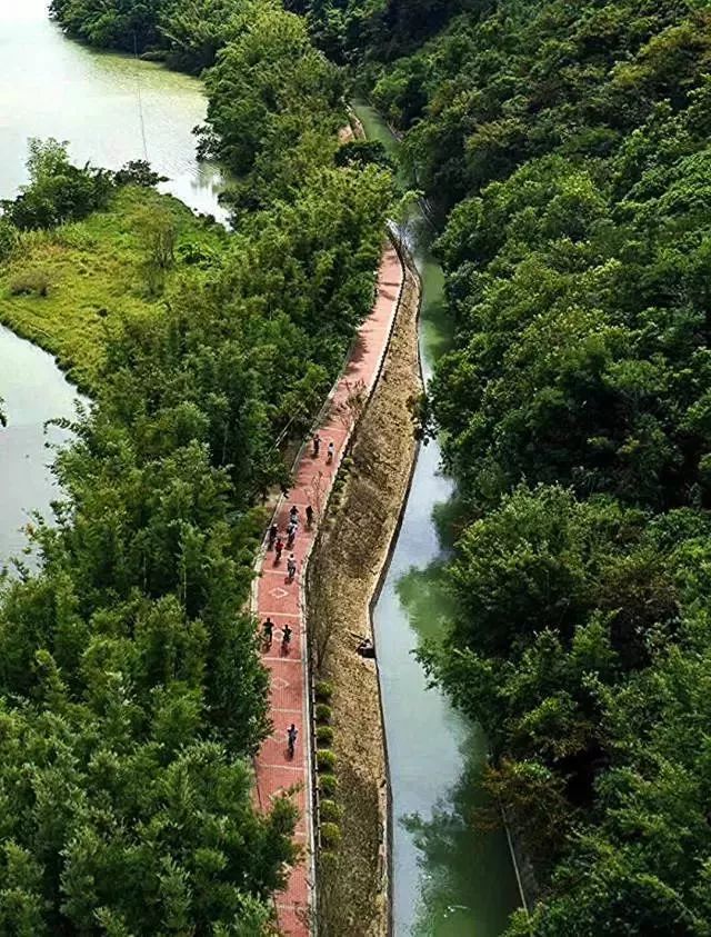 从化流溪河绿道图片