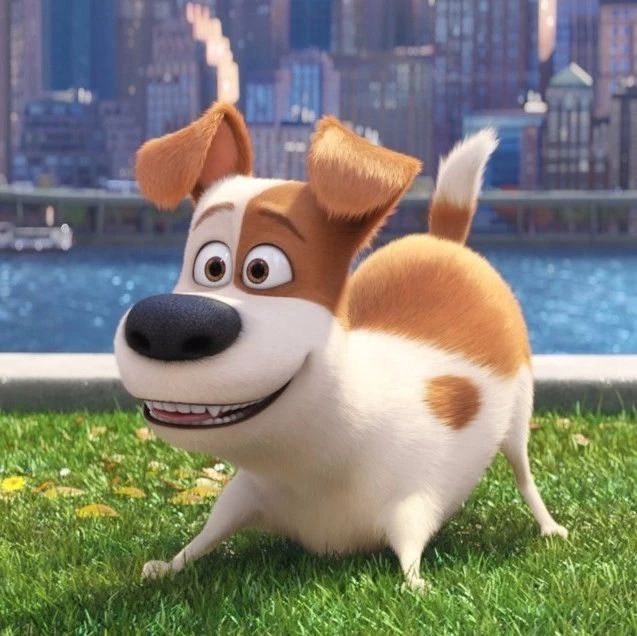 美国以狗为主角的动画图片