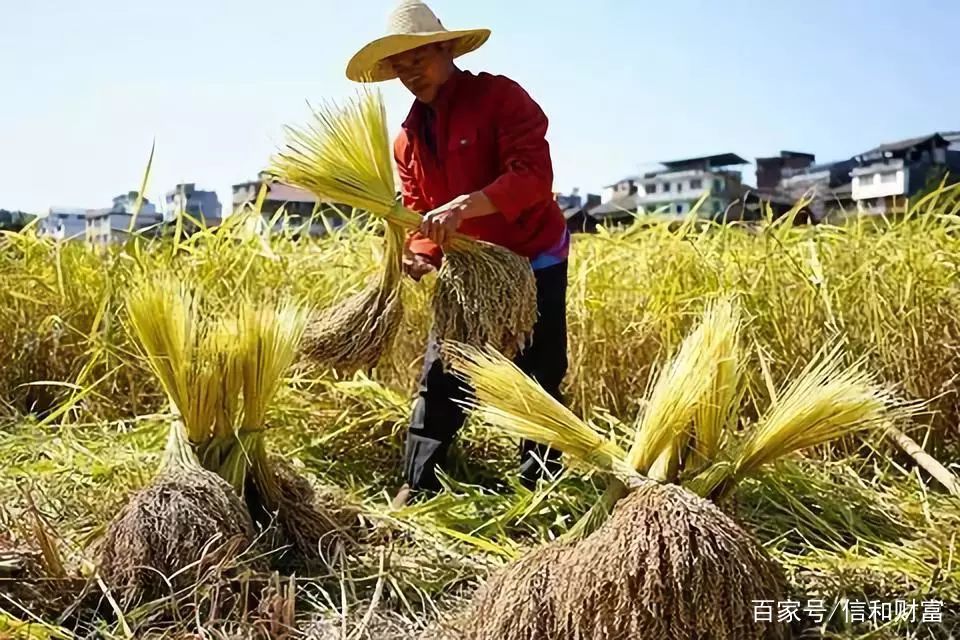 優先發展