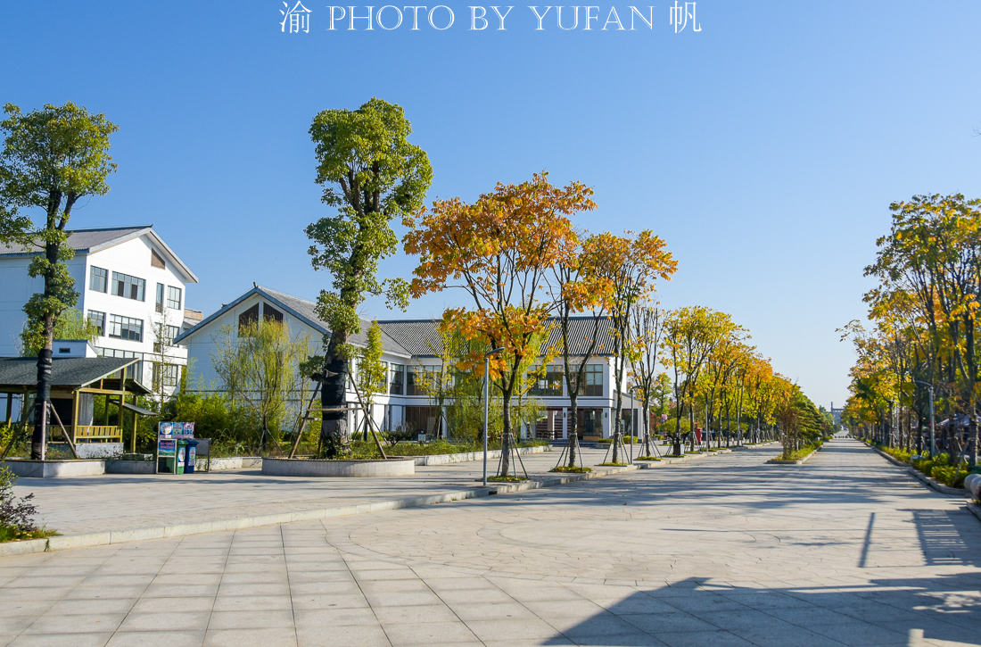 益阳紫薇村风景度假区图片