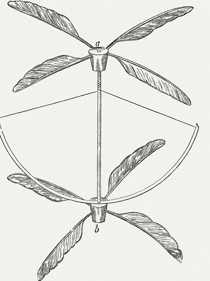 古代竹蜻蜓图片
