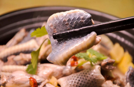 广东粤菜馆子的全蛇宴,椒盐煲汤加小炒,你喜欢什么口味的?