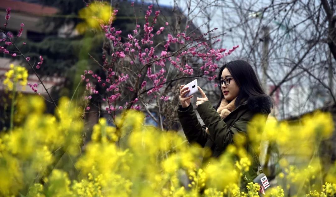 太陽迴歸午後暖洋洋西安周邊這處油菜花已經開了約否