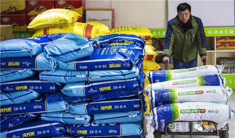 工作人员将化肥装车枣强县农民在一家农机市场选购农机(新华社记者 李