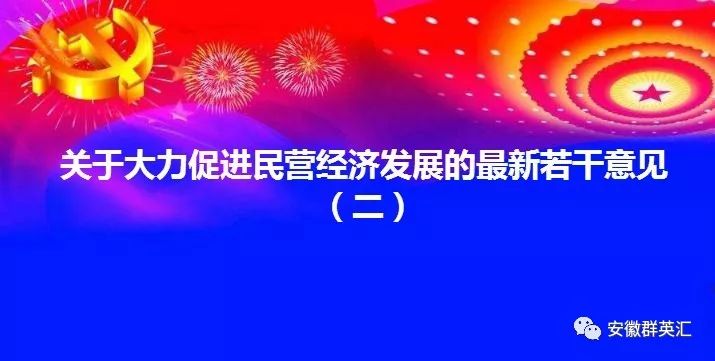 关于大力促进民营经济发展的最新若干意见二