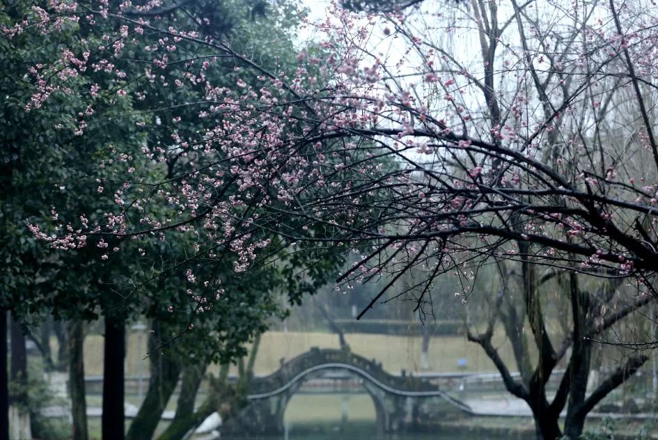 古城公園所位於的古城街更是存放著許多長興人的童年,在古城街遊玩,在