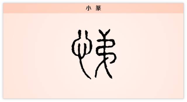 汉字解读 每日一字 悌 一声兄弟大过天 书画5000年 书法国画艺术