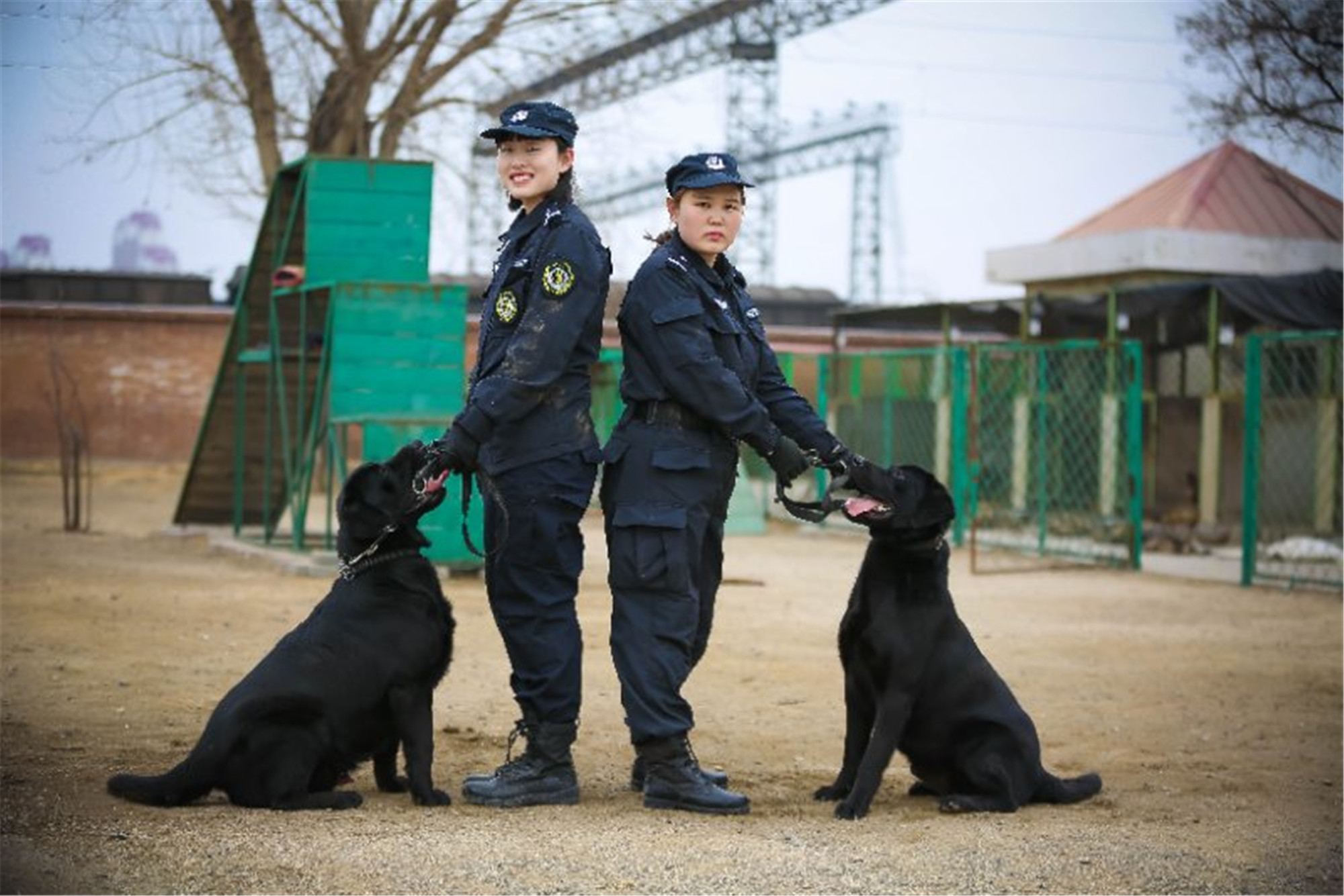 天津铁路警犬工作队的巾帼英雄 搜狐大视野 搜狐新闻