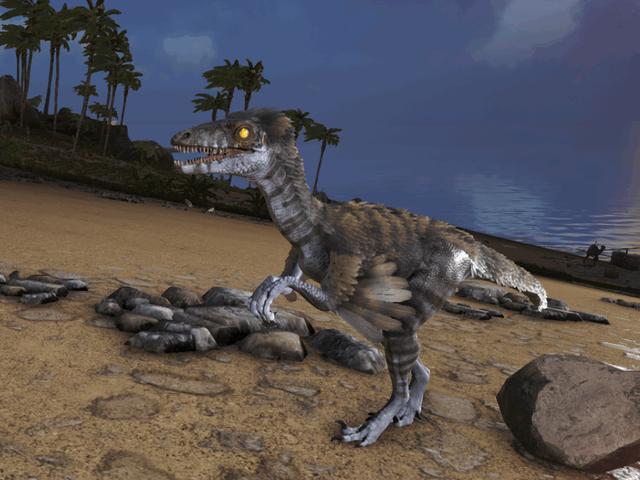 方舟生存进化:不能忽略的小型恐龙伤齿龙,一击就让你晕倒在地