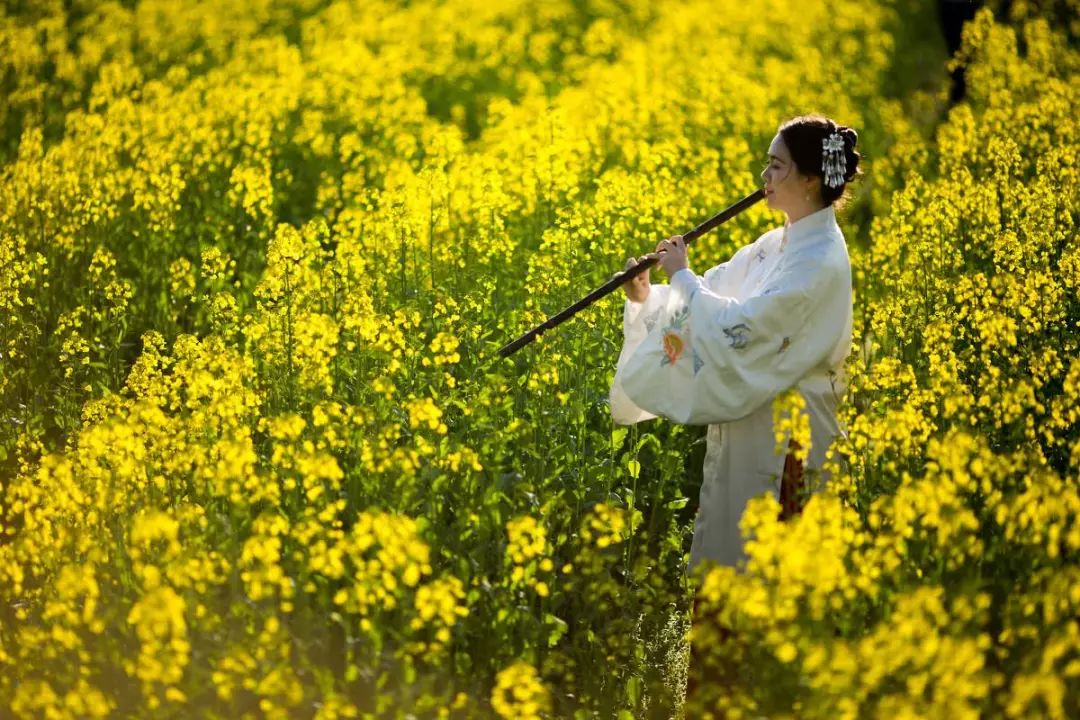 重磅 圣地古田油菜花旅游文化节火爆来袭!五大看点不容错过!