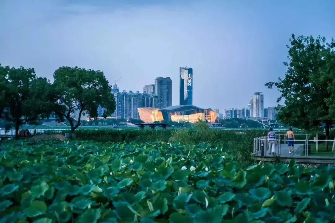 還在繼續,除了下雨,武漢人接下來還要面對這些