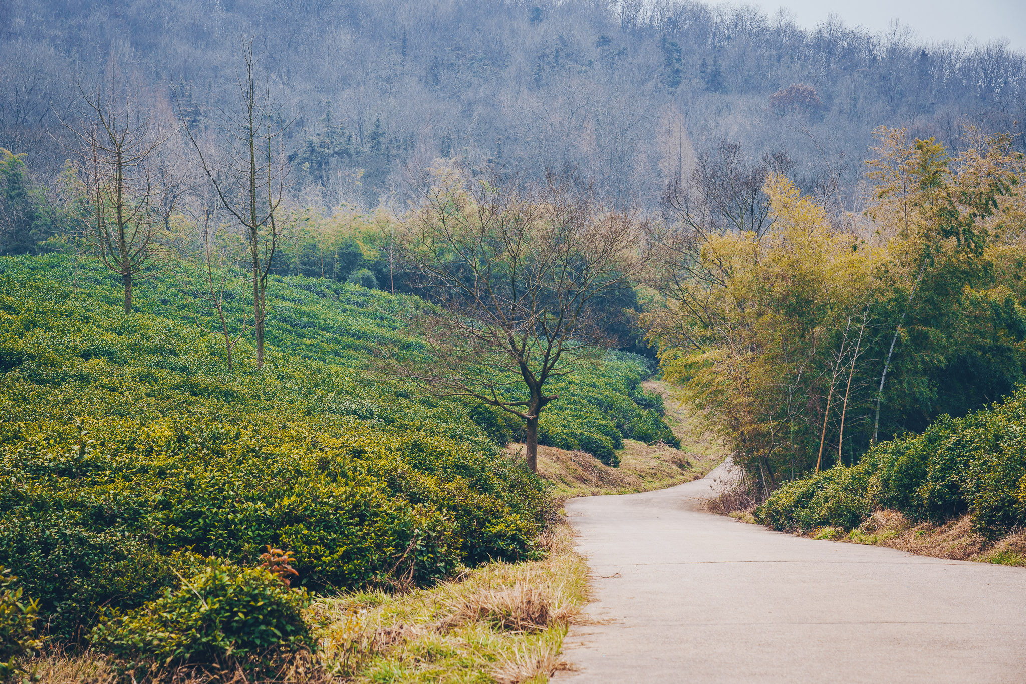 南京灵岩山图片