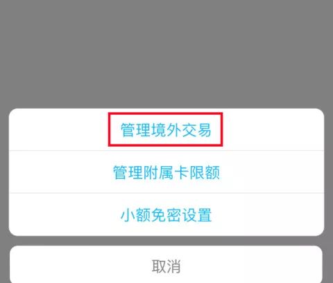 功能入口設置功能操作說明銀行卡境外交易中國建設銀行app2019年2月15