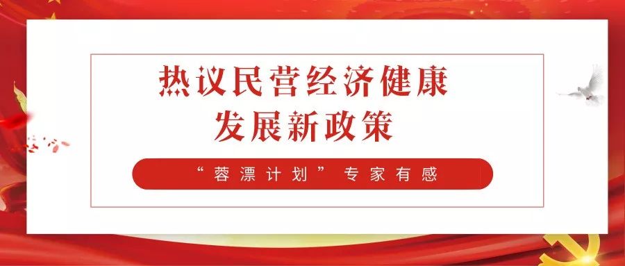 启航新时代▏我市高层次专家人才热议促进民营经济健康发展7个实施