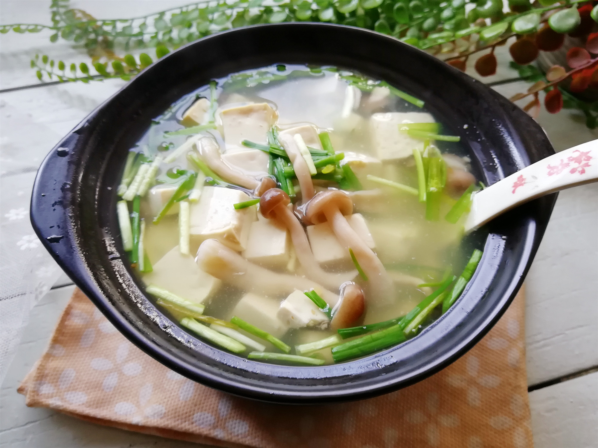 淡菜豆腐汤图片