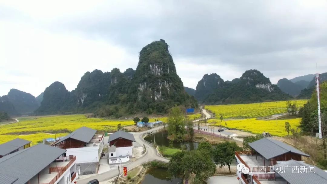 田阳县巴某村度假村图片