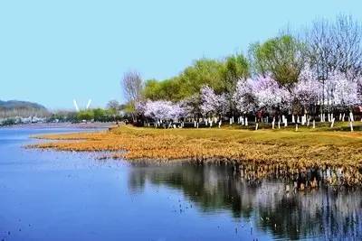 此外,東陵後山還有一座大清年間的報恩寺.