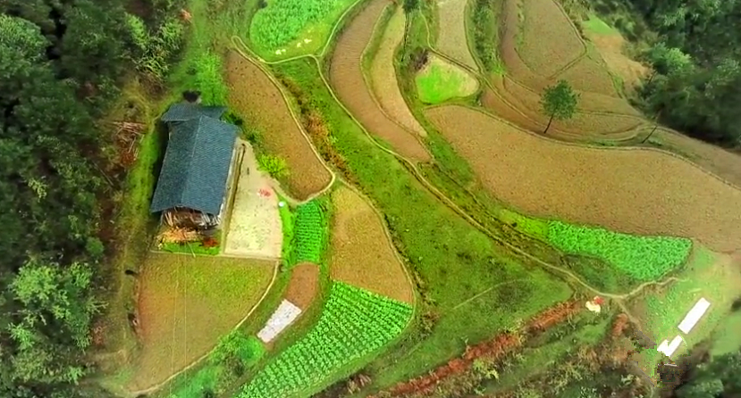 原創
            貴州大山里只有一戶人家，開墾梯田日出而作，過著原始生活 旅遊 第4張