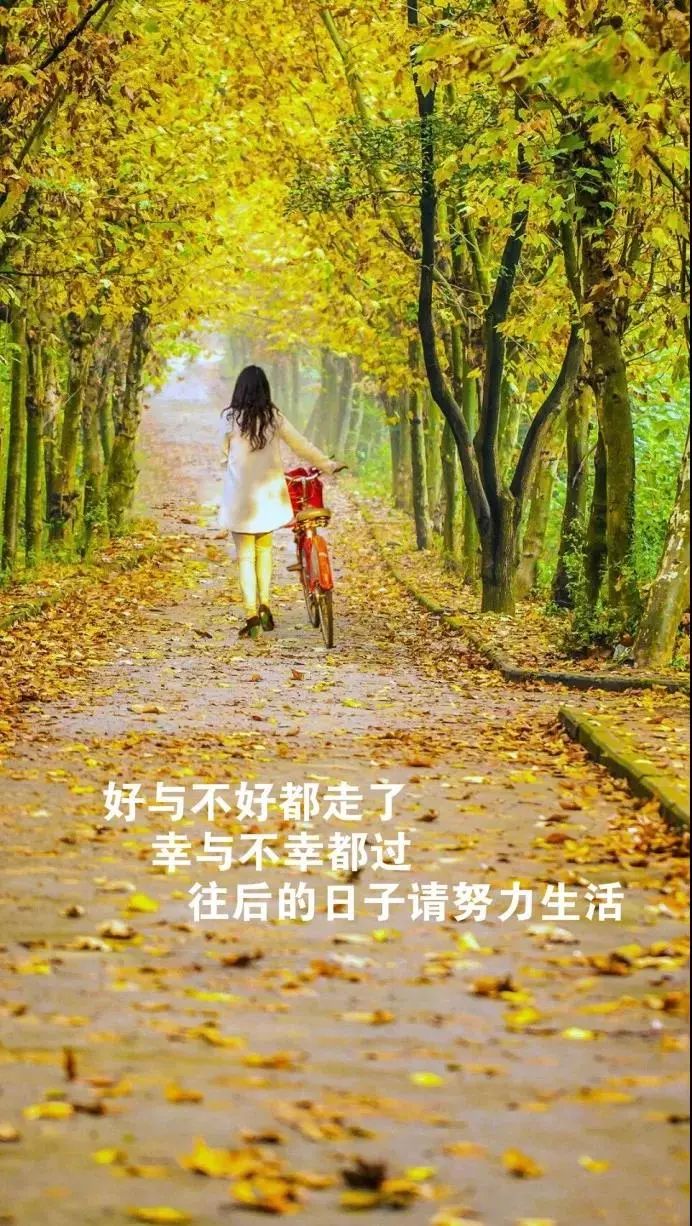 生活感悟 唯美图片