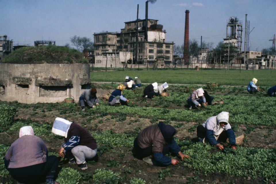 老照片1974年最朴实的农村生活第十张的场景令人潸然泪下