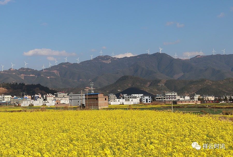 祥云坝子图片