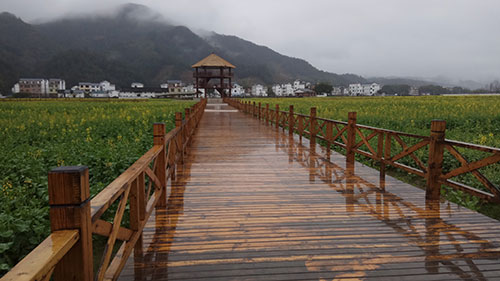 崇义志愿者谢文淦应邀走进崇义县龙勾乡冷杉良田花海影视基地采风