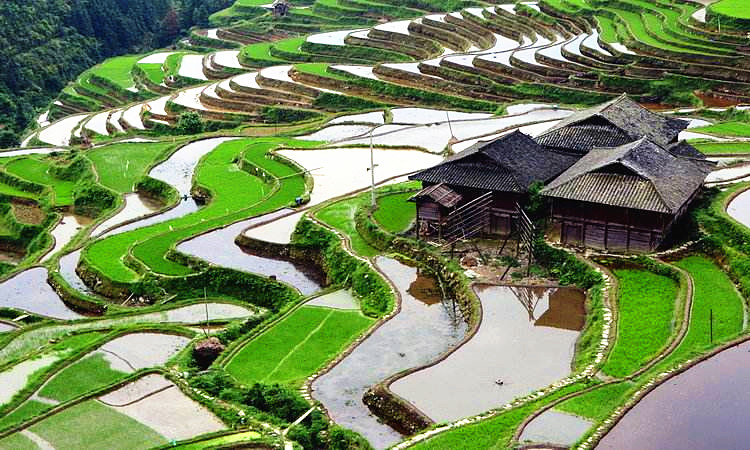 原創
            貴州大山里只有一戶人家，開墾梯田日出而作，過著原始生活 旅遊 第1張