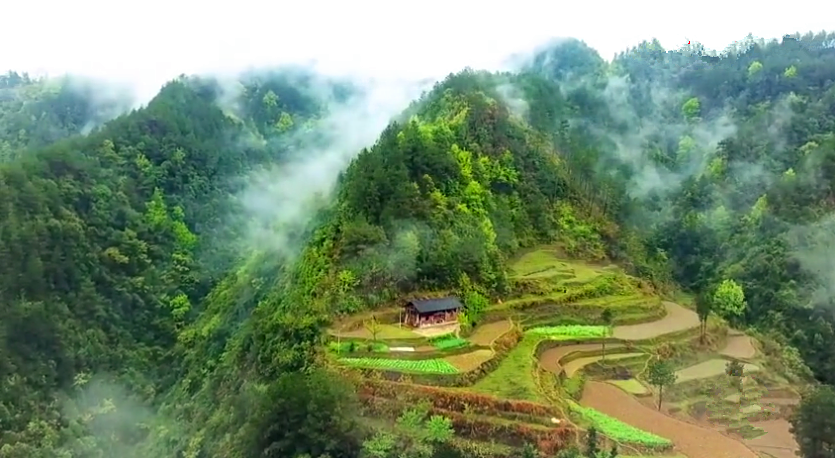 原創
            貴州大山里只有一戶人家，開墾梯田日出而作，過著原始生活 旅遊 第2張