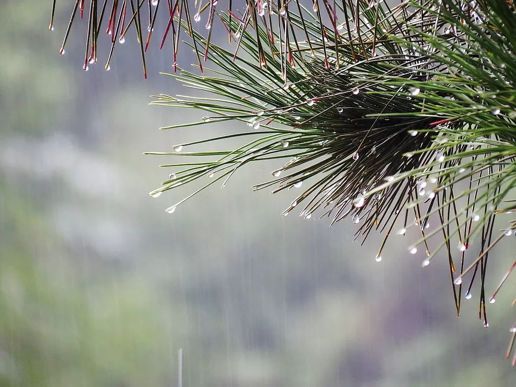 陰雨天氣攝影口訣