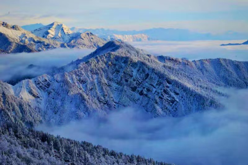 西岭飘雪图片