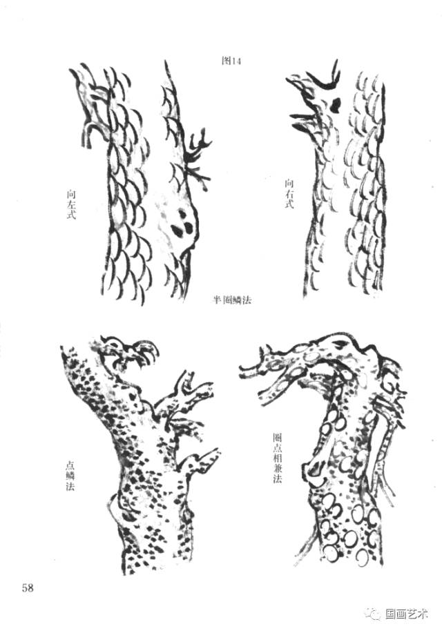 学画松树美术教案图片