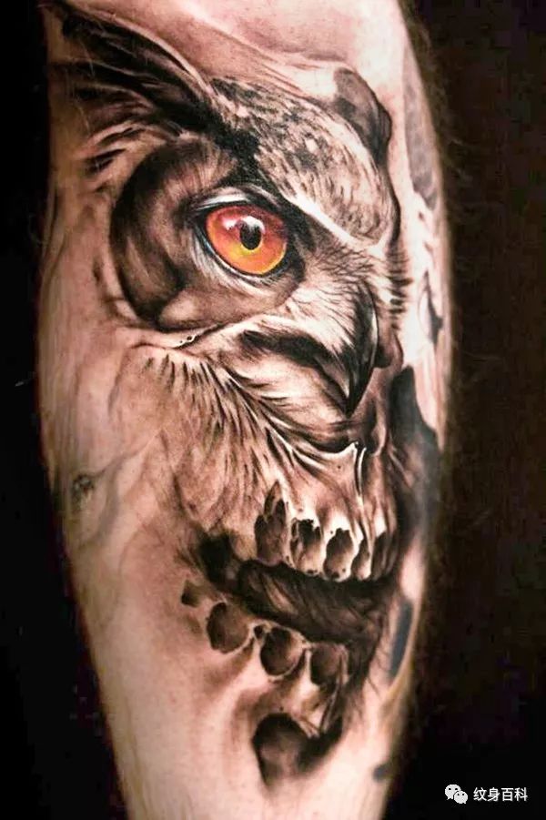 猫头鹰纹身,这位暗夜的使者,是耐心与智慧的结合