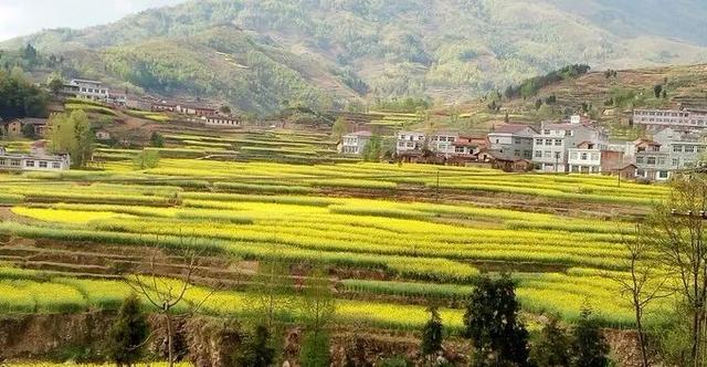 無論是鳳羽古鎮,還是南詔文化發源地巍山,祥雲,雲龍太極村,抑或大理