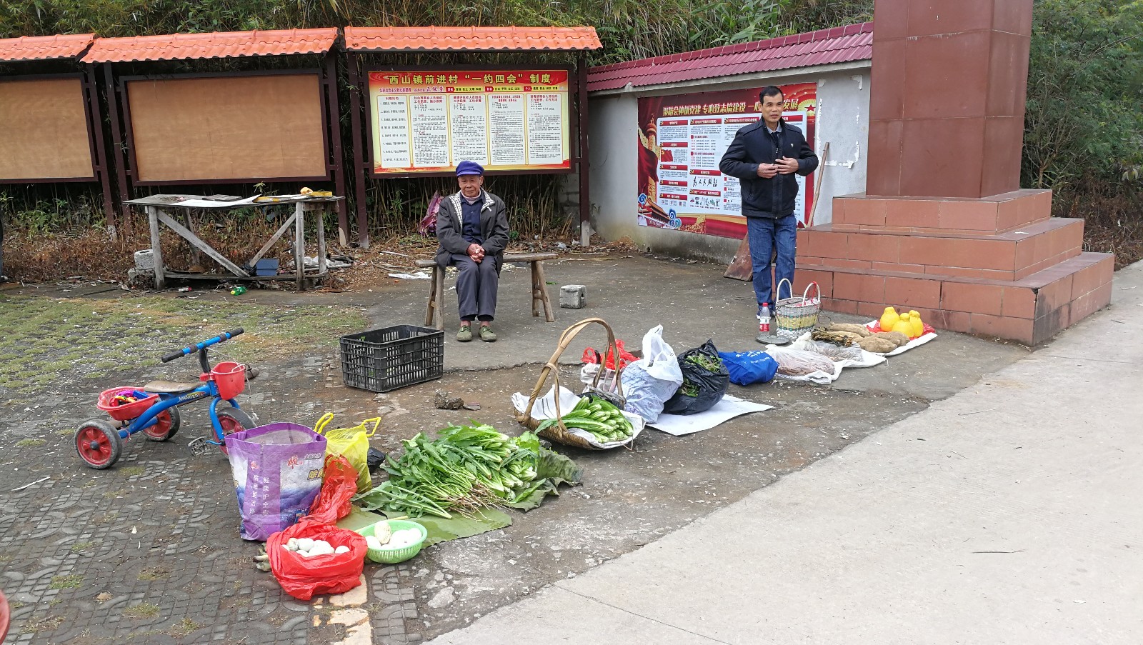 廣西第39站 生態鄉村 貴港桂平前進村_房車