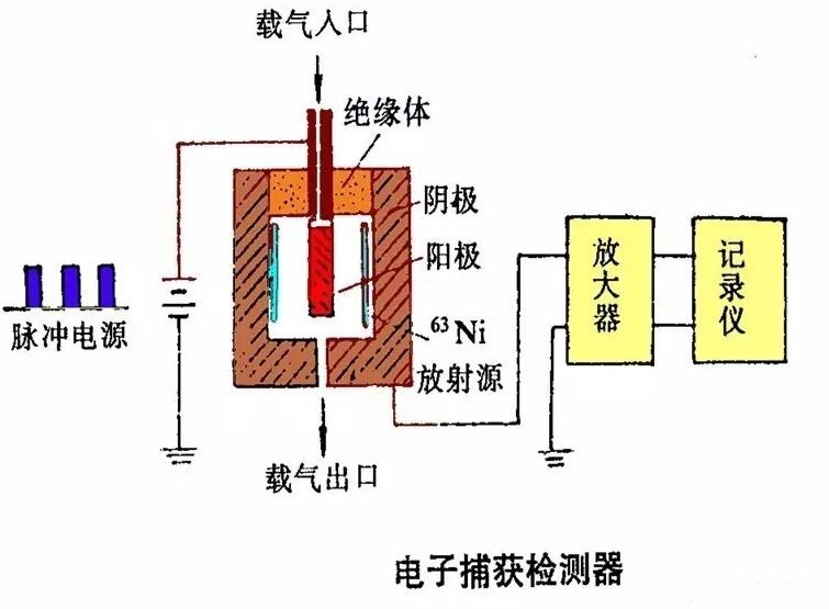 电子捕获检测器图片