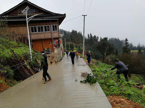 平江镇干群总动员 出列村再掀植树高潮