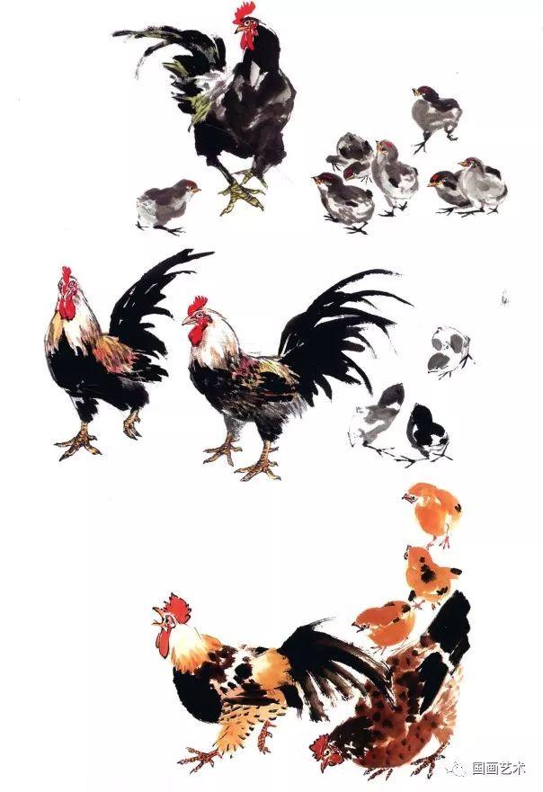 画鸡常以双鸡组合形式表现,并多以公鸡母鸡想配合,公鸡的雄健与母鸡的