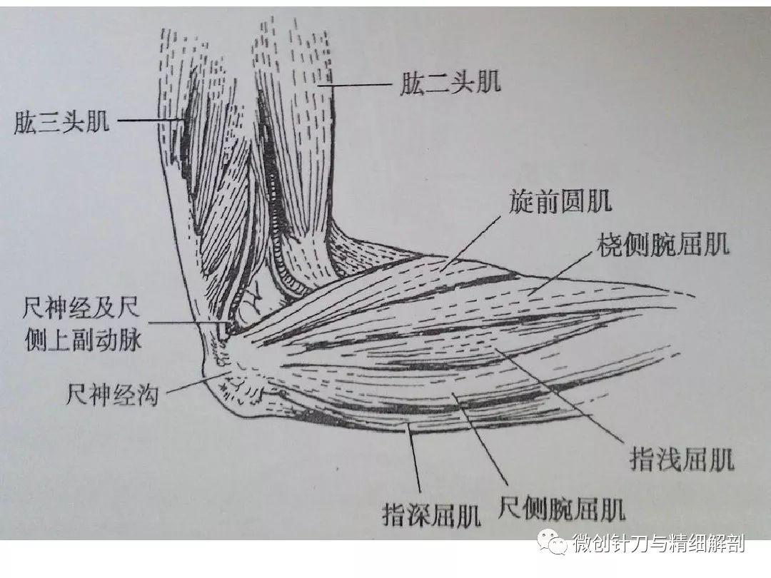 肘管綜合徵的護理