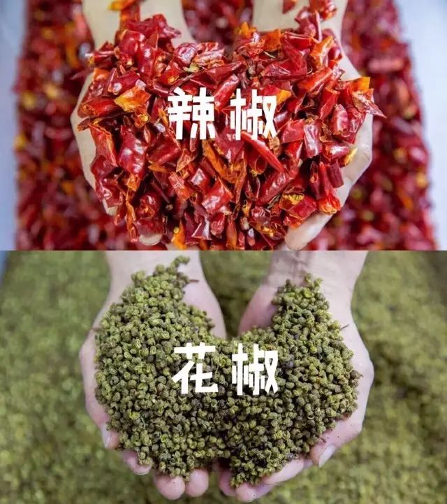 锅底是成都麻辣代表之一的油泼做法,辣椒 花椒 清油让整个锅飘着麻辣