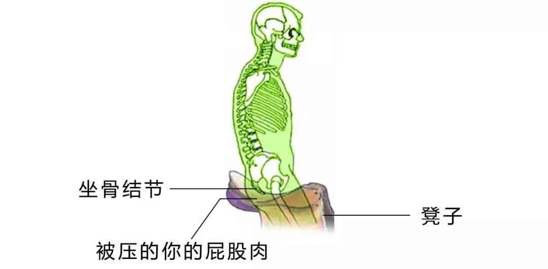 屁股的两侧为什么会有黑印子?