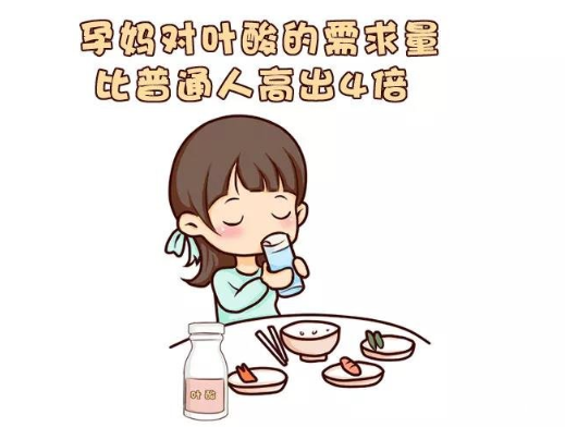 孕妇每日对叶酸的需