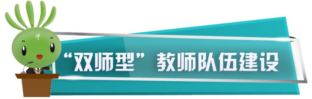 雙師型教師應用型本科高校1x證書看新時代職教改革關鍵詞