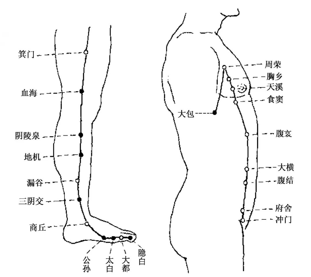 足太阴脾经