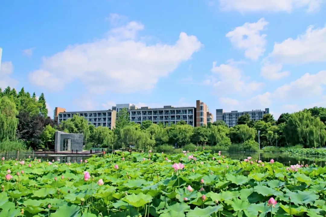 2019年杭州師範大學錢江學院三位一體招生報名今天開始計劃招生80人