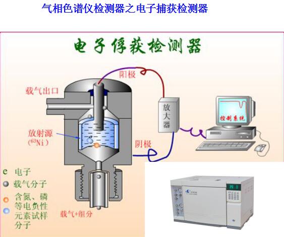 氣相色譜儀檢測器之電子捕獲檢測器